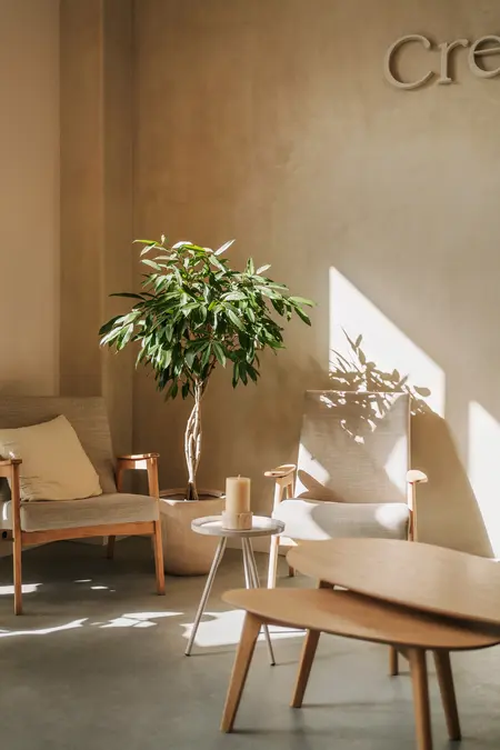 Wnętrze w stylu boho i skandynawskim z rośliną w donicy oraz jasnymi meblami.
