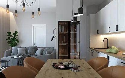 Salon z kuchnią