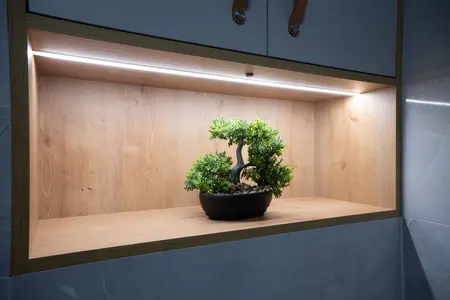 Półka z bonsai na drewnianym tle, nowoczesne i industrialne wnętrze.