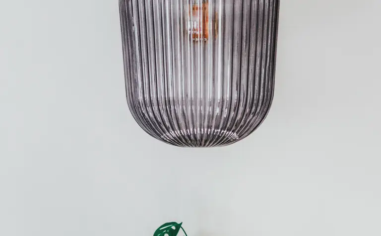 Lampa wisząca w eklektycznym wnętrzu z rośliną, nowoczesny design.