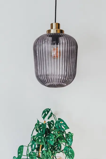 Lampa wisząca w eklektycznym wnętrzu z rośliną, nowoczesny design.