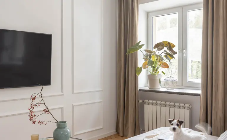 Wnętrze salonu w stylu eklektycznym z roślinami i nowoczesnym oświetleniem.