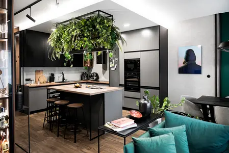 Nowoczesna kuchnia z czarnymi meblami i roślinami, styl industrialny