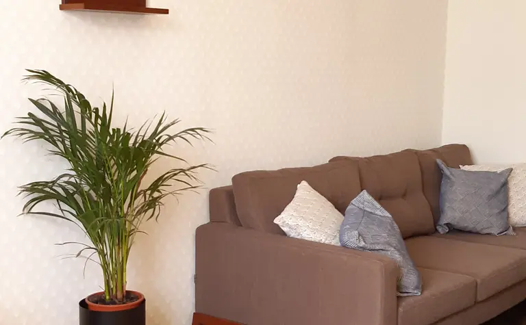Wnętrze salonu w stylu tradycyjnym z brązową sofą, rośliną doniczkową i drewnianymi akcentami.