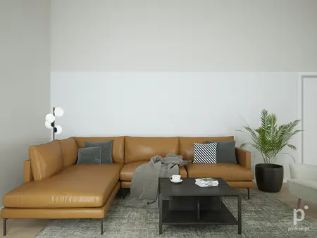 Wnętrze salonu w stylu skandynawskim z brązową sofą, czarnym stolikiem i rośliną.