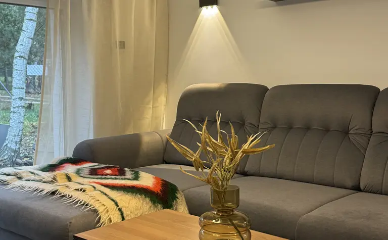 Wnętrze salonu w stylu boho, minimalistycznym i rustykalnym z szarym narożnikiem.