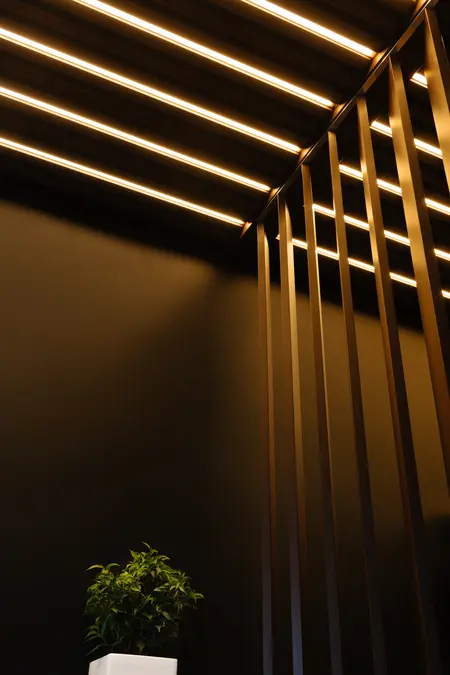 Wnętrze współczesne z drewnianymi detalami i rośliną w białym doniczce.