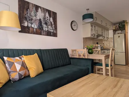 Wnętrze salonu w stylu art deco, prowansalskim, skandynawskim, tradycyjnym z zieloną sofą.