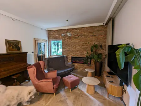 Wnętrze salonu w stylu boho, eklektycznym, rustykalnym i skandynawskim z roślinami.