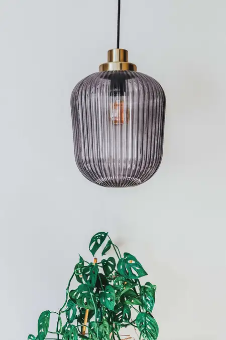Lampa wisząca w eklektycznym wnętrzu z rośliną, nowoczesny design.